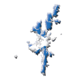 Shetland Islands